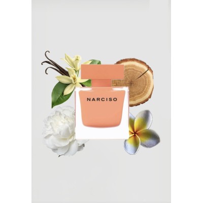 Narciso Rodriguez Ambree Narciso Rodriguez Ambree