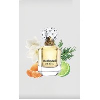 Roberto Cavalli Paradiso