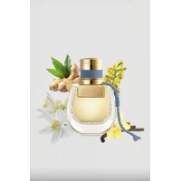 Nomade Nuit d’Egypte Chloé